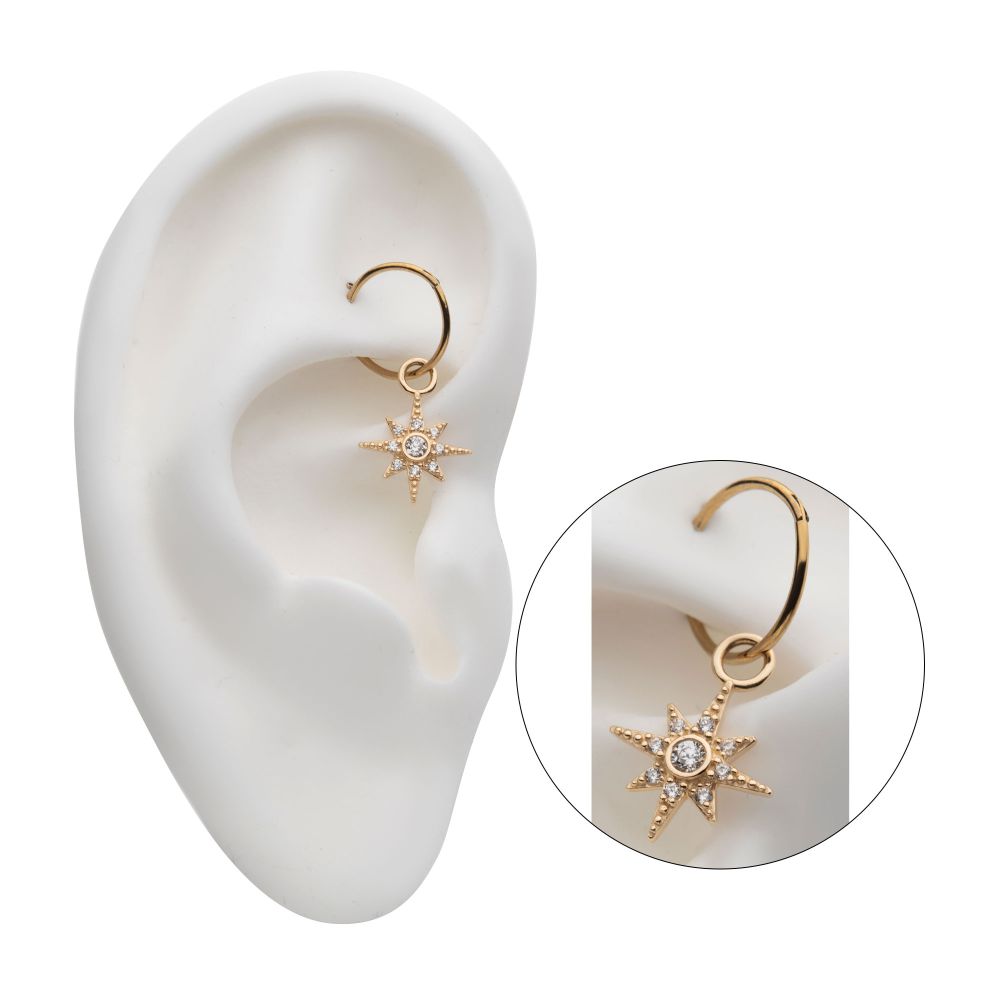 14Kt Yellow Gold 8-Point Star with Round Clear CZ Charm