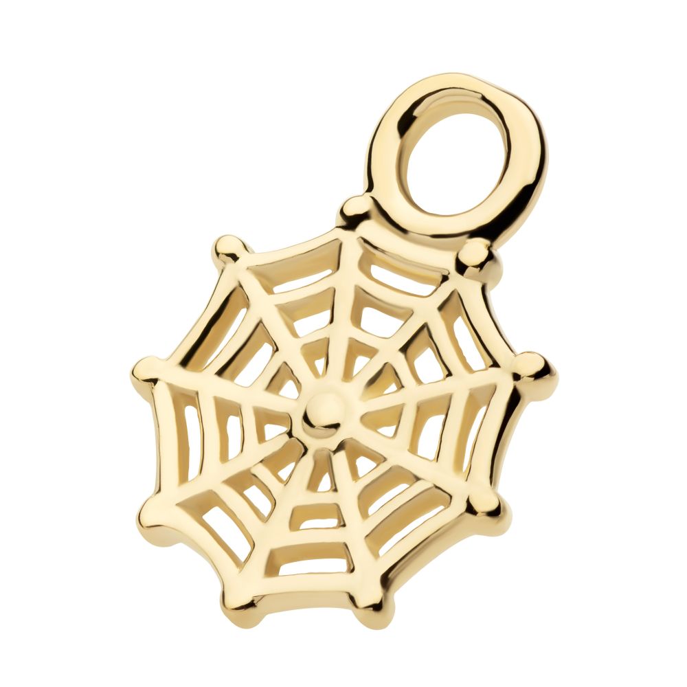 14Kt Yellow Gold Spiderweb Charm