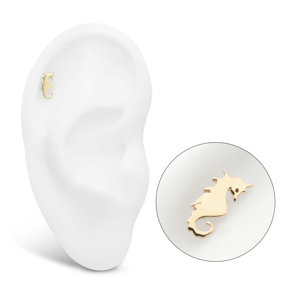 14Kt Yellow Gold Threadless Seahorse Top