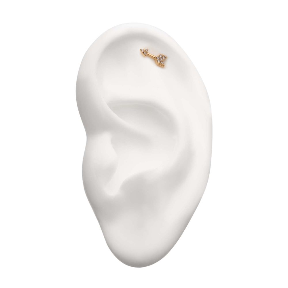 14Kt Yellow Gold Threadless with Multi-Clear Gem Arrow Top