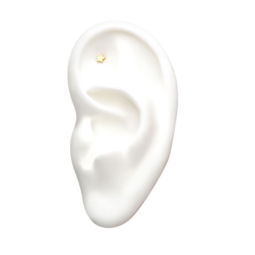 14Kt Gold Threadless Star Top