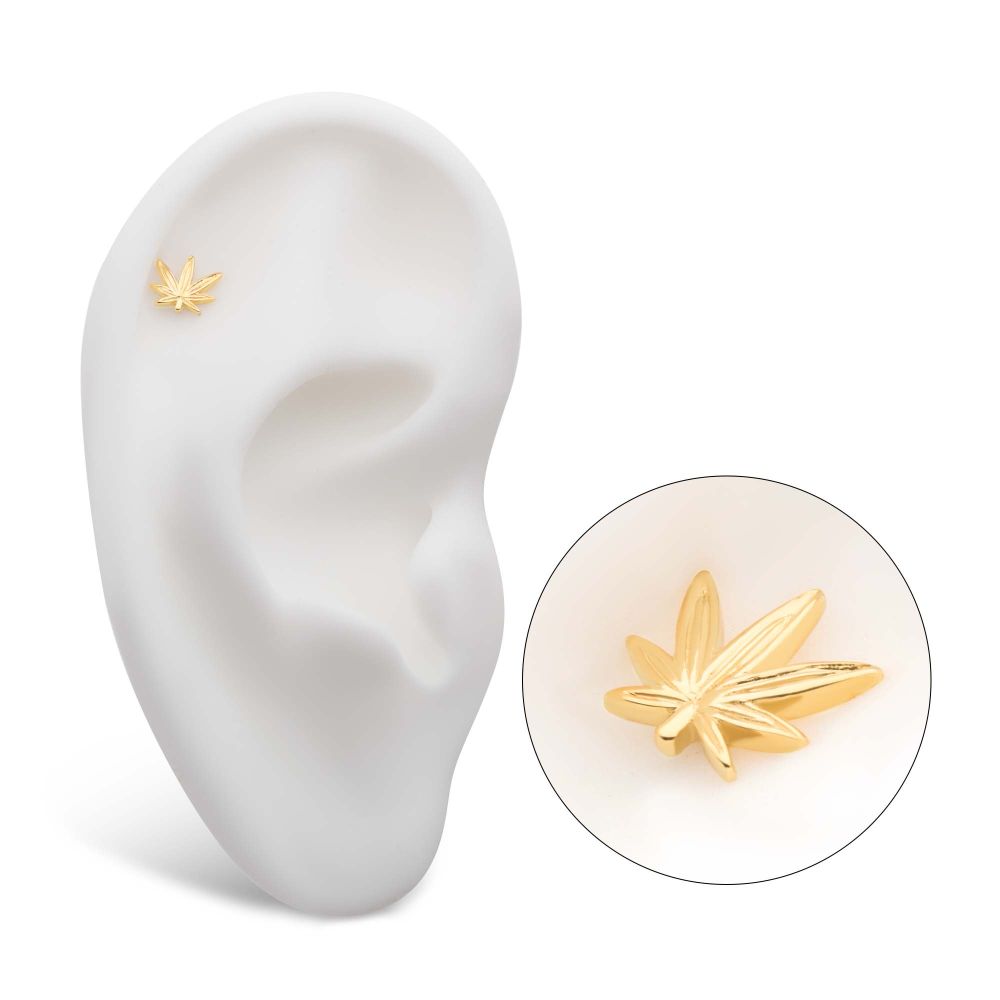 14Kt Yellow Gold Threadless Decorative Pot Leaf Top