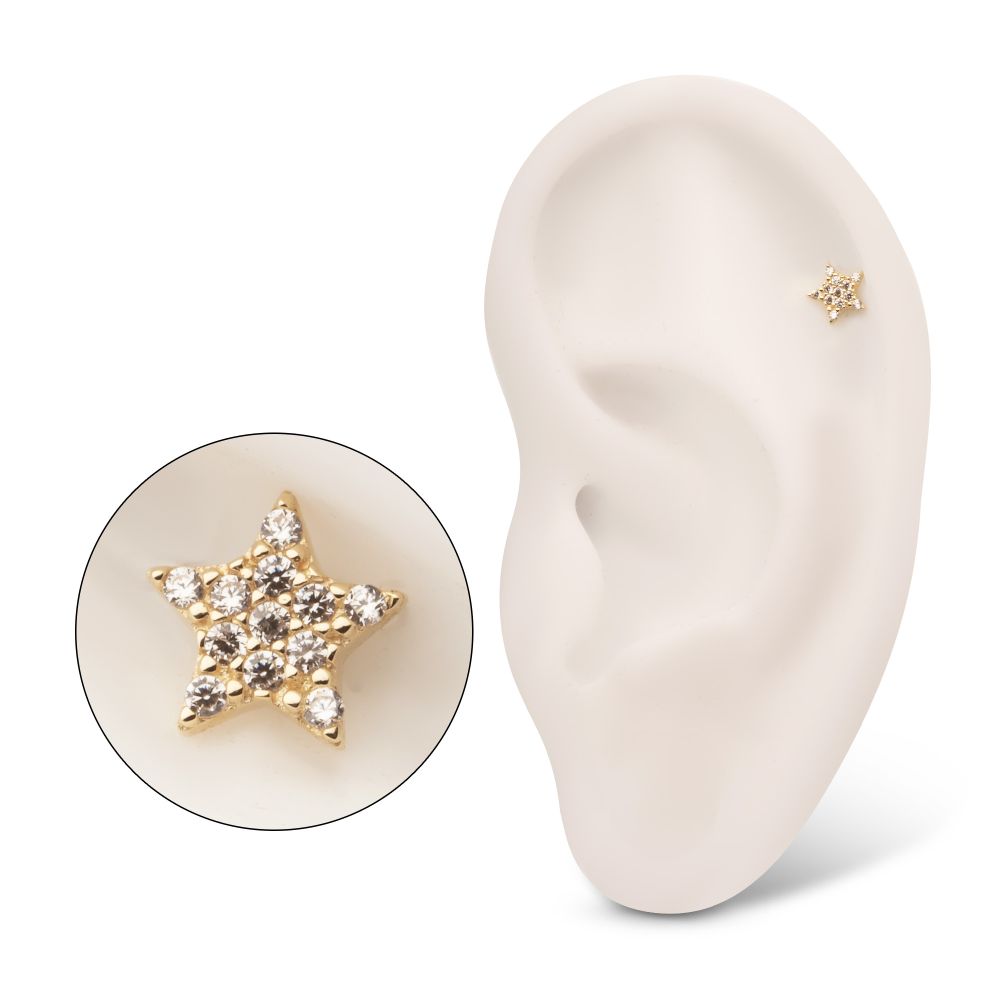 14Kt Yellow Gold Threadless Pave Gem Star Top