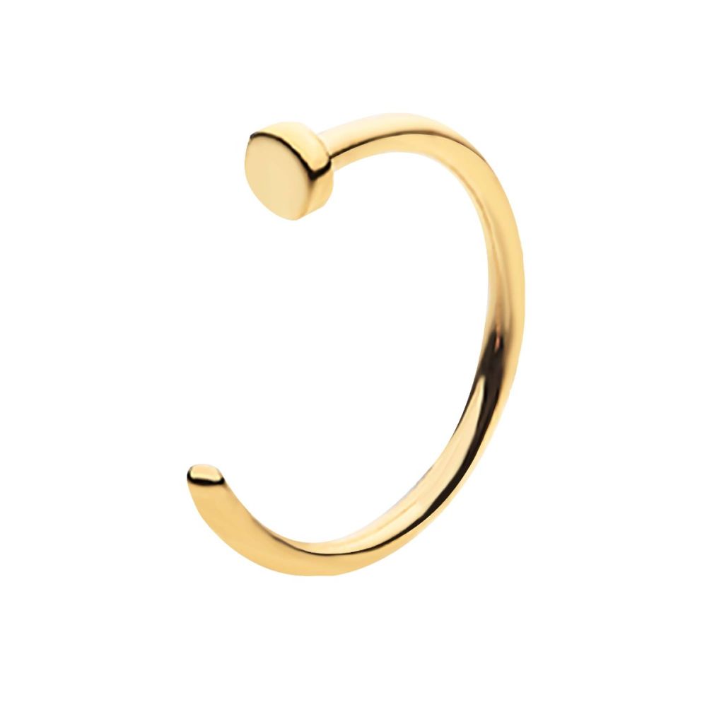 24KT Gold PVD Titanium Flat Back Nose Ring