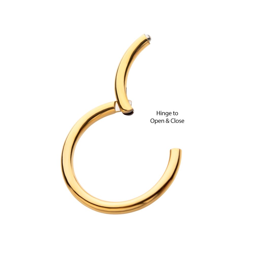 24KT Gold PVD Titanium Hinged Segment Clicker (12g to 8g)
