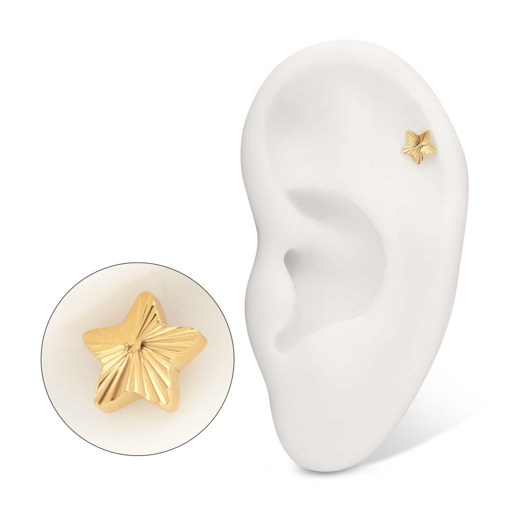 24Kt Gold PVD Titanium Threadless Corrugated Star Top