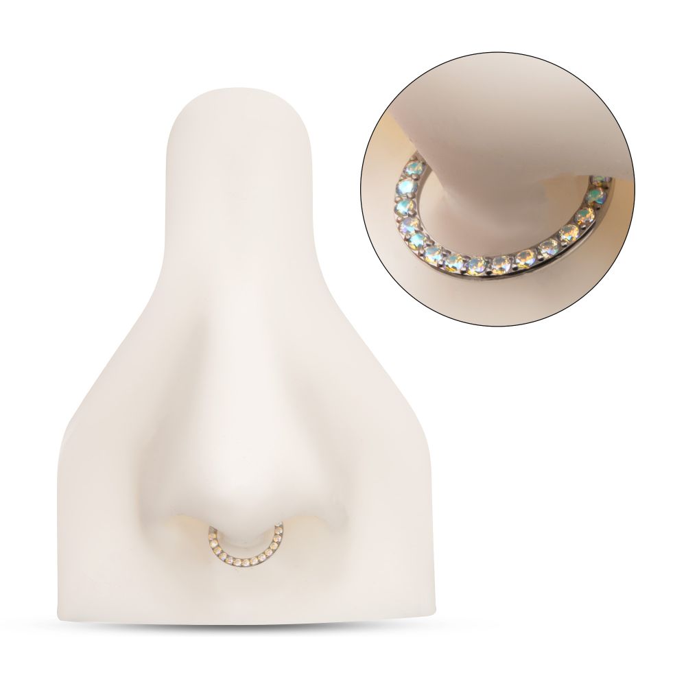 Titanium Front Facing Hinged Segment Clicker with CNC Set 1mm Ombre Fade Gem