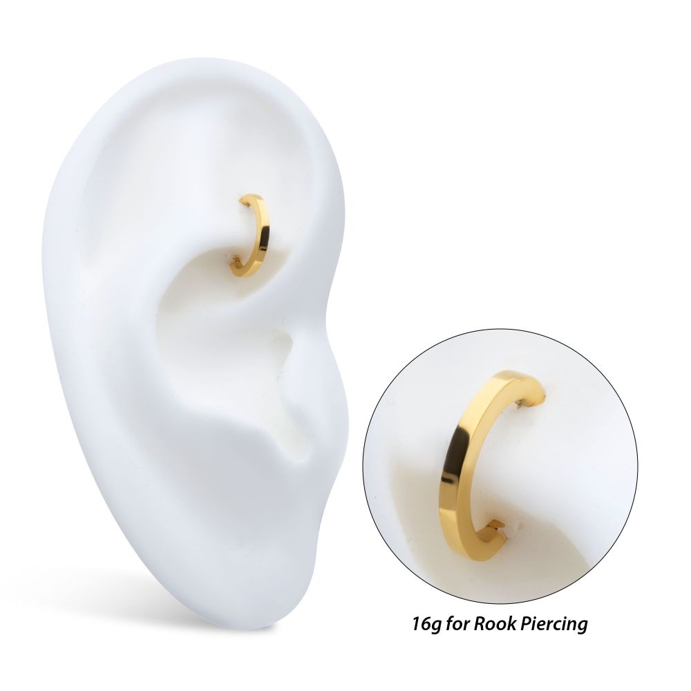 16g 24Kt Gold PVD Titanium Oval Shape Hinged Segment Clicker (for Rook Piercing)