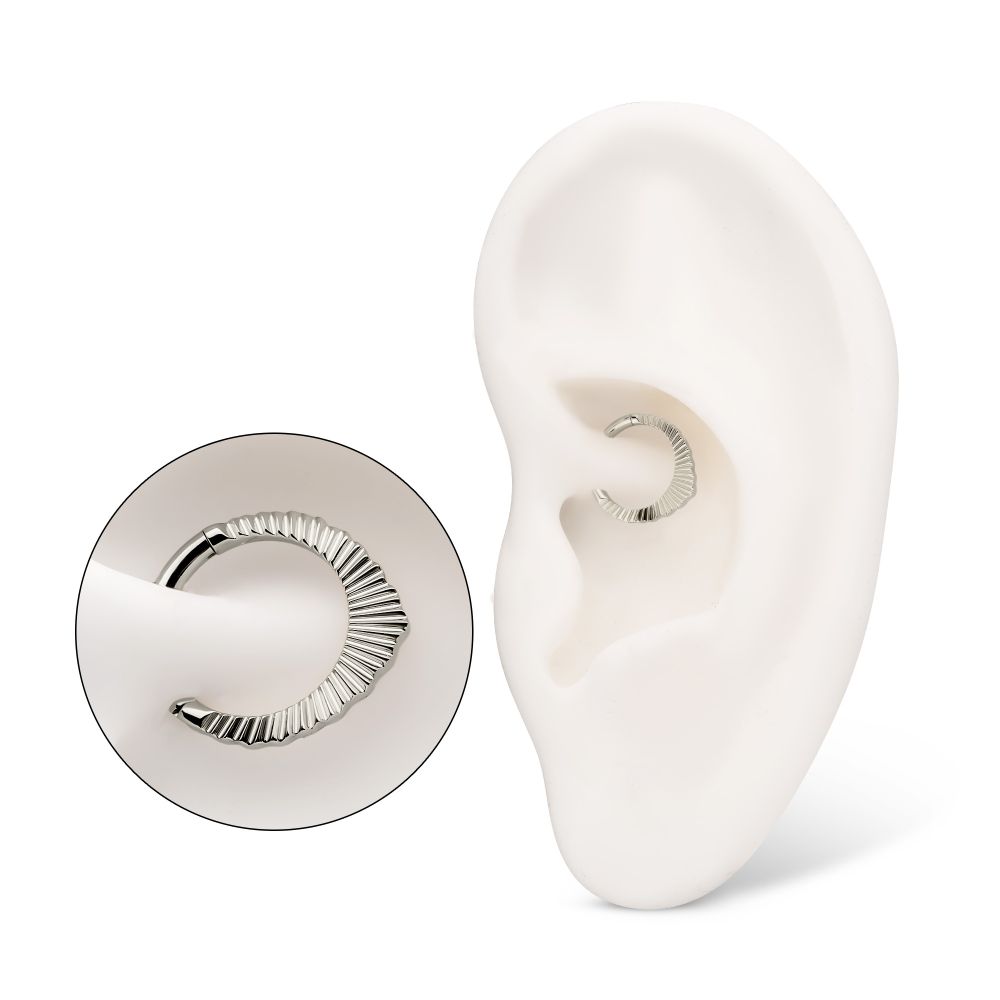 Titanium Radiant Pointed Hoop Front Facing Hinged Segment Clicker