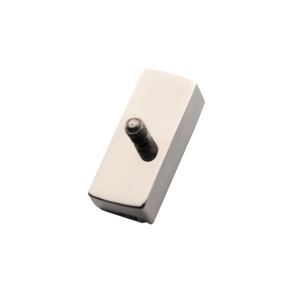 Titanium Internally Threaded with Channel Set Princess Gem Bar Top