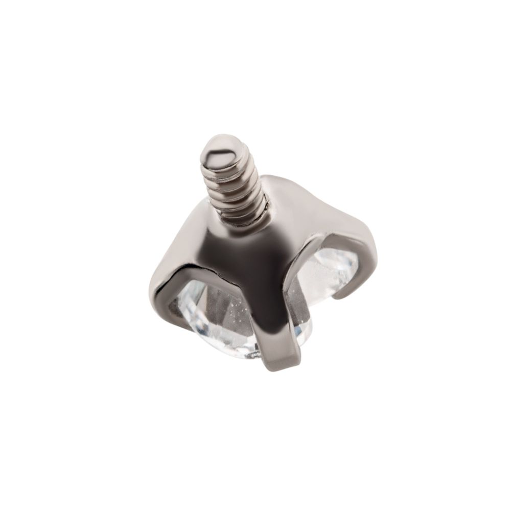 Titanium Internally Threaded with 4-Prong Set Heart CZ Top