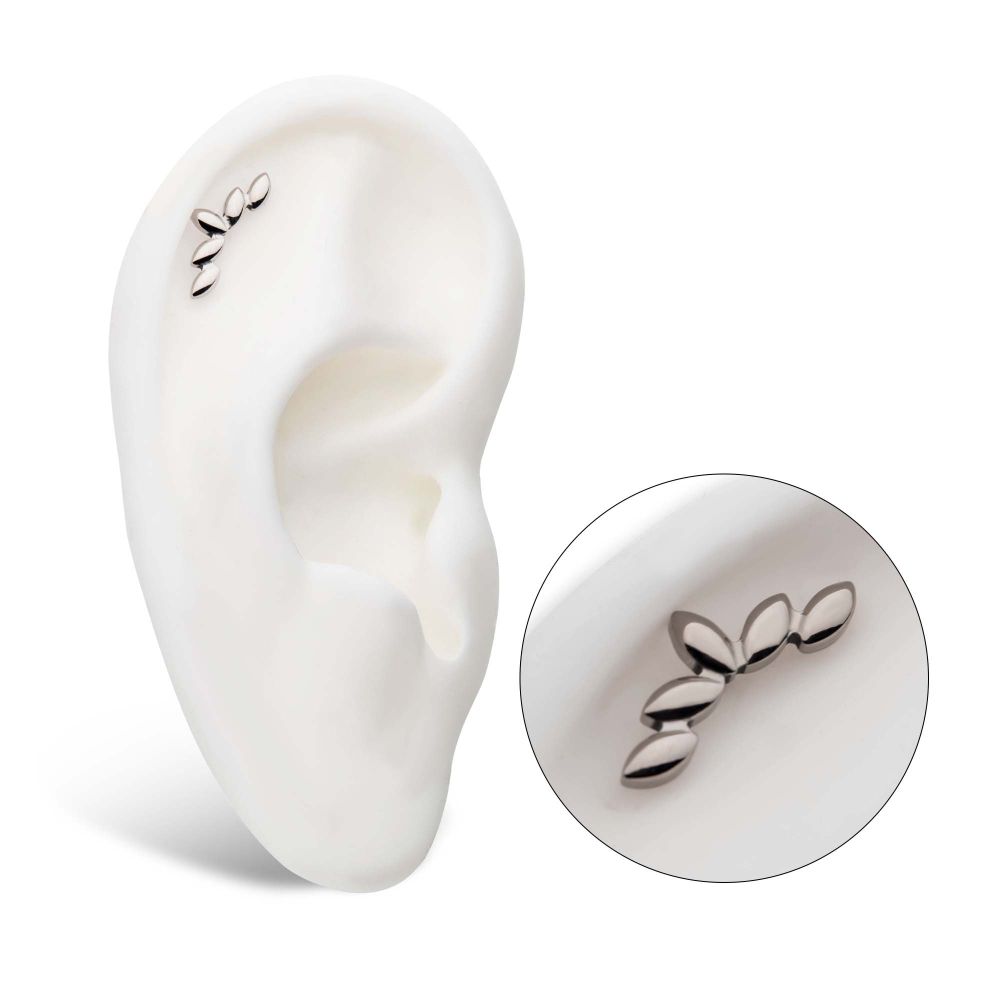 Titanium Internally Threaded 5-Cluster Fan Shape Top