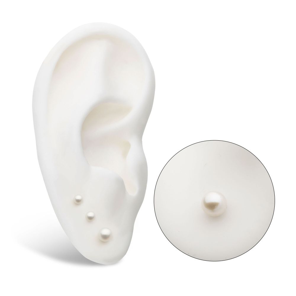 Titanium Internally Threaded Natural Freshwater Pearl Top