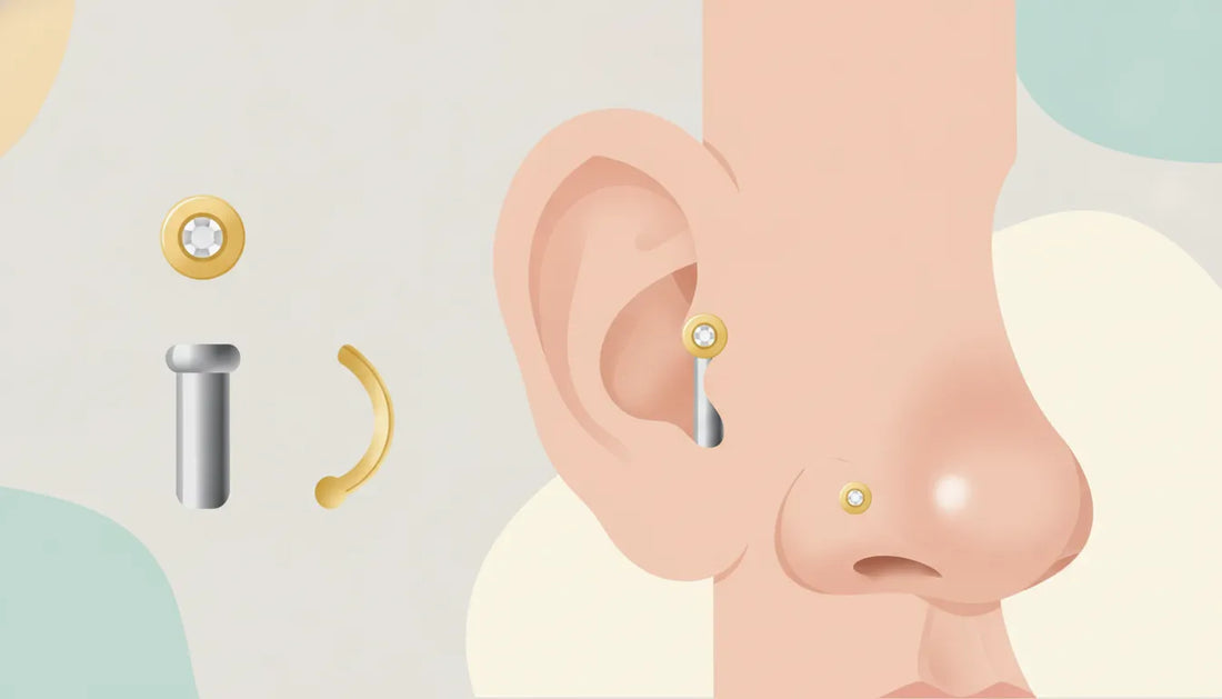 Flat vector illustration of premium Anatometal-style body jewelry and accurate piercing fit details