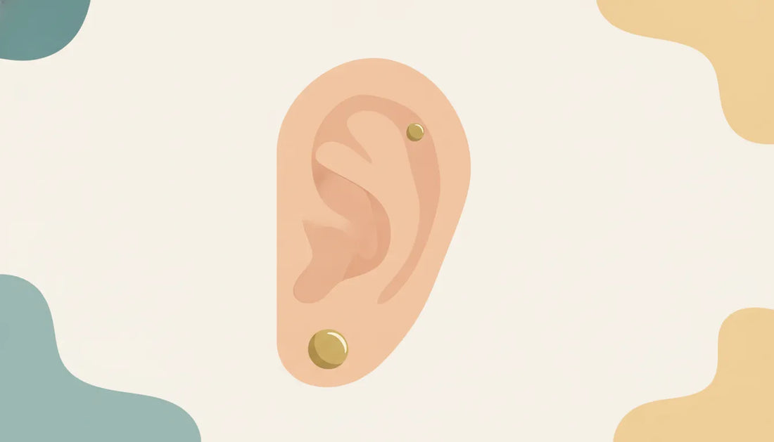 Flat vector illustration of an ear with two forward helix studs in the upper inner cartilage