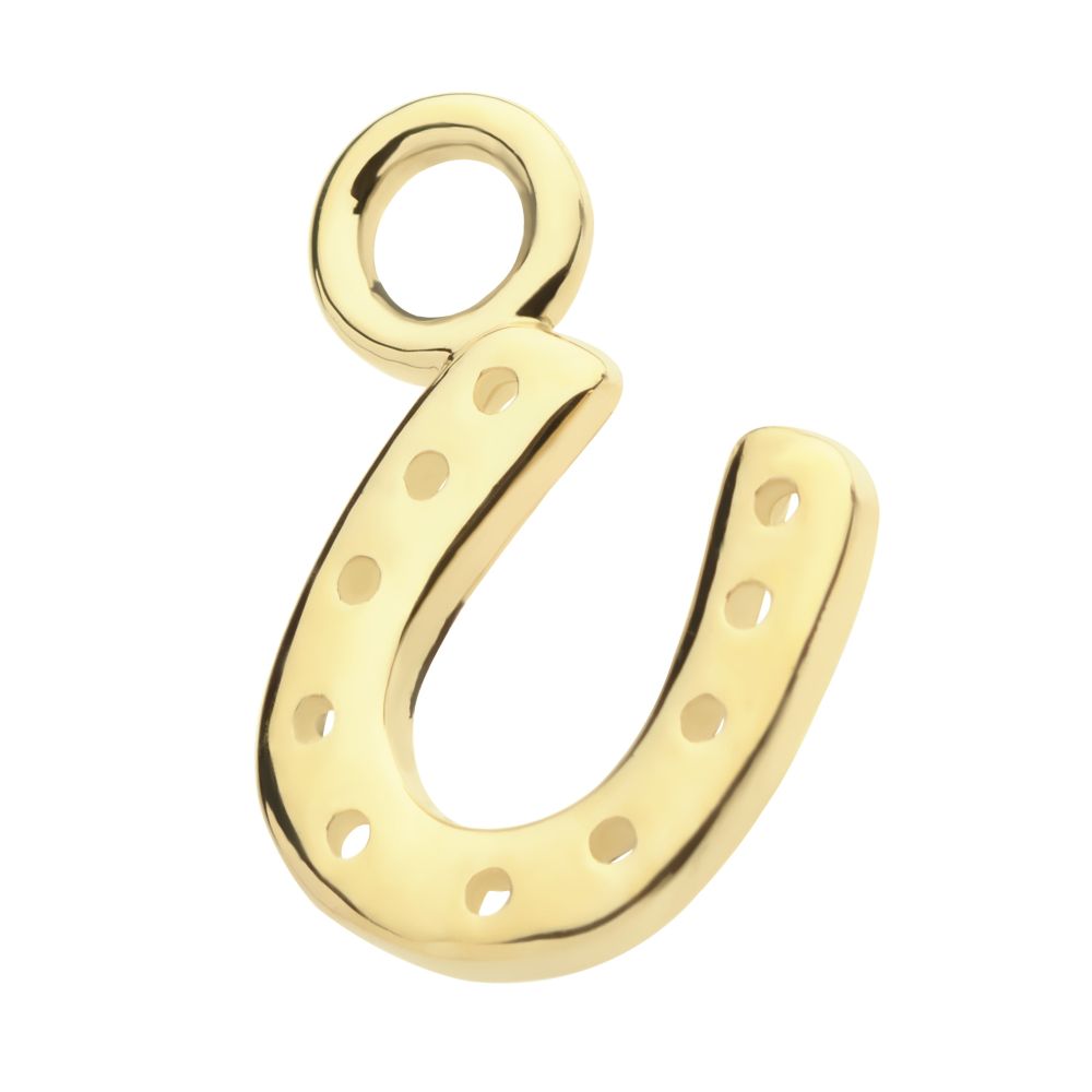 14Kt Yellow Gold Horseshoe Charm