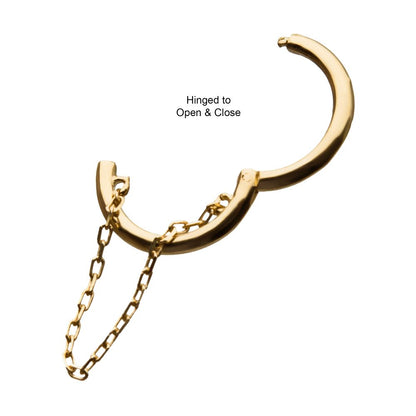 14Kt Yellow Gold with Chain Hinged Segment Clicker