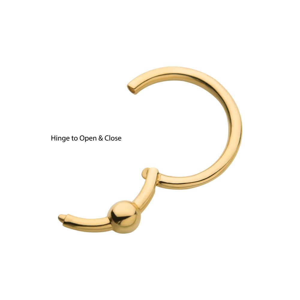 14Kt Yellow Gold with 3mm Ball Hinged Segment Clicker
