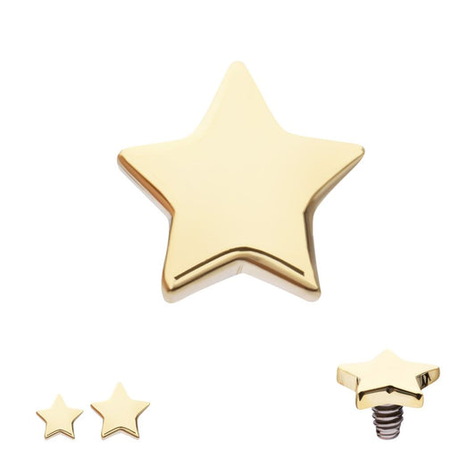 14Kt Yellow Gold Internally Threaded Star Top Dermal