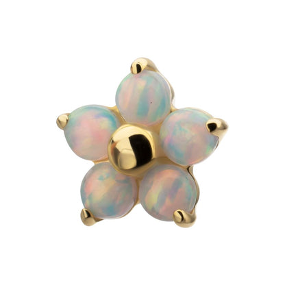 14Kt Yellow Gold M0.8 Internally Threaded 5-Petal Opal Flower Top