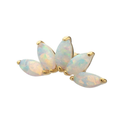 14Kt Yellow Gold M0.8 Internally Threaded 5-Cluster Marquise Opal Fan Top