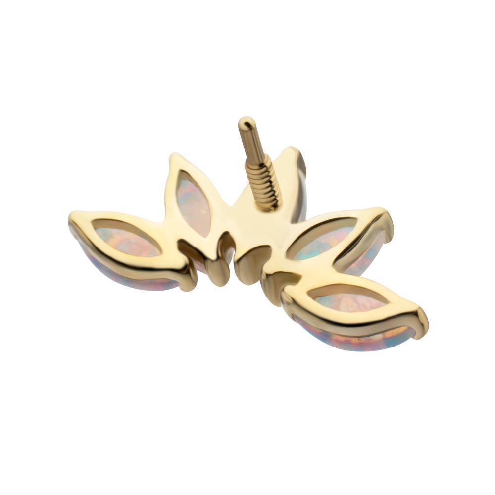 14Kt Yellow Gold M0.8 Internally Threaded 5-Cluster Marquise Opal Fan Top