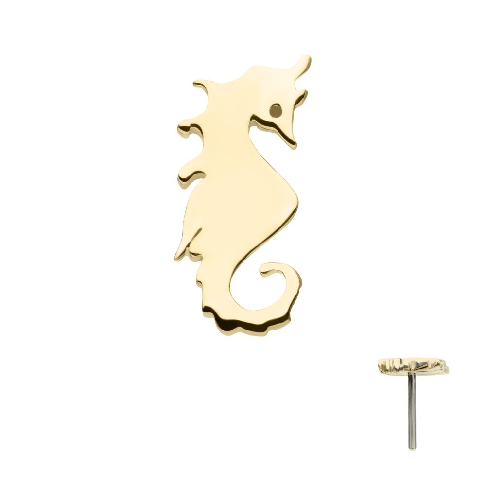 14Kt Yellow Gold Threadless Seahorse Top