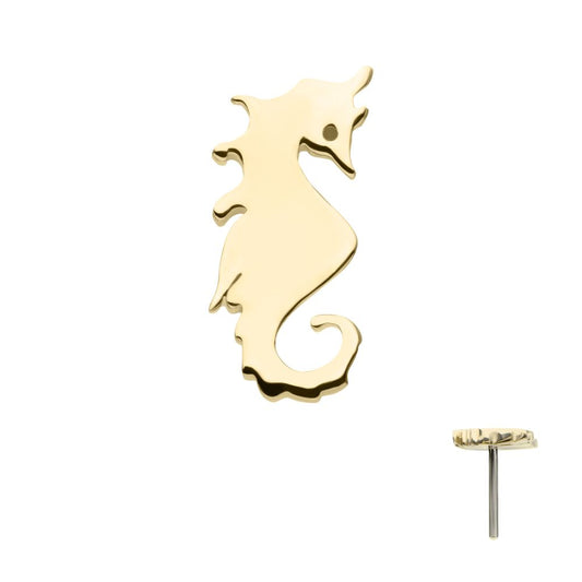 14Kt Yellow Gold Threadless Seahorse Top