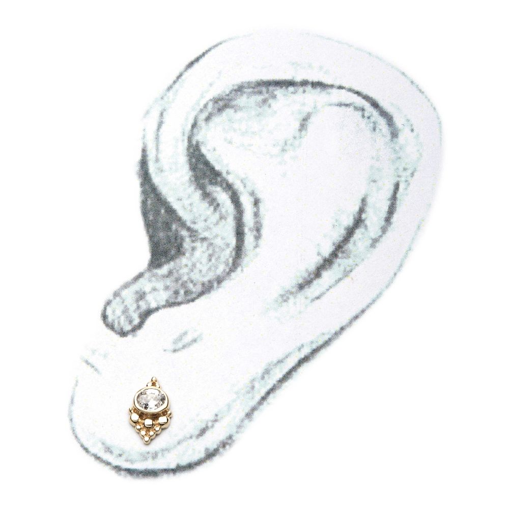 14Kt Yellow Gold Threadless Beaded Cluster Design around 3mm Bezel Set Gem Top