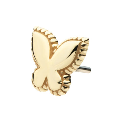 14Kt Yellow Gold Threadless Beaded Edge Butterfly Top