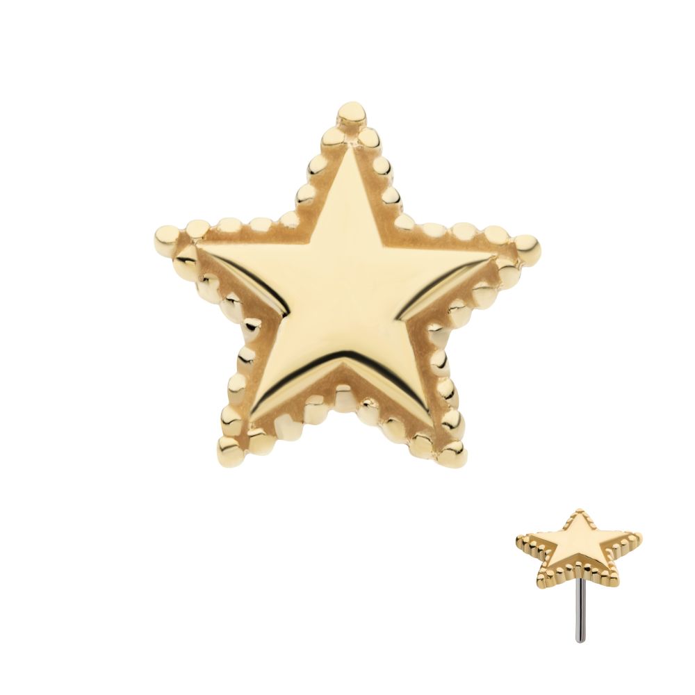 14Kt Yellow Gold Threadless Beaded Edge Star Top