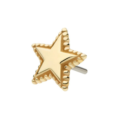 14Kt Yellow Gold Threadless Beaded Edge Star Top