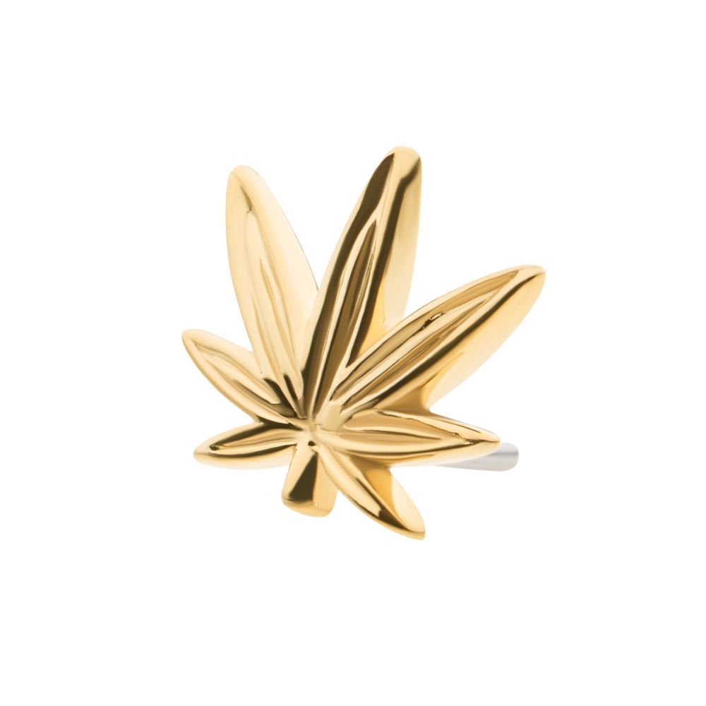 14Kt Yellow Gold Threadless Decorative Pot Leaf Top