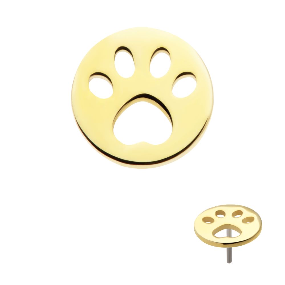 14Kt Yellow Gold Threadless Cut Out Paw Top