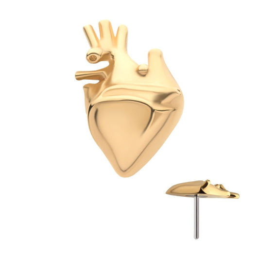 14Kt Yellow Gold Threadless with Human Heart Top