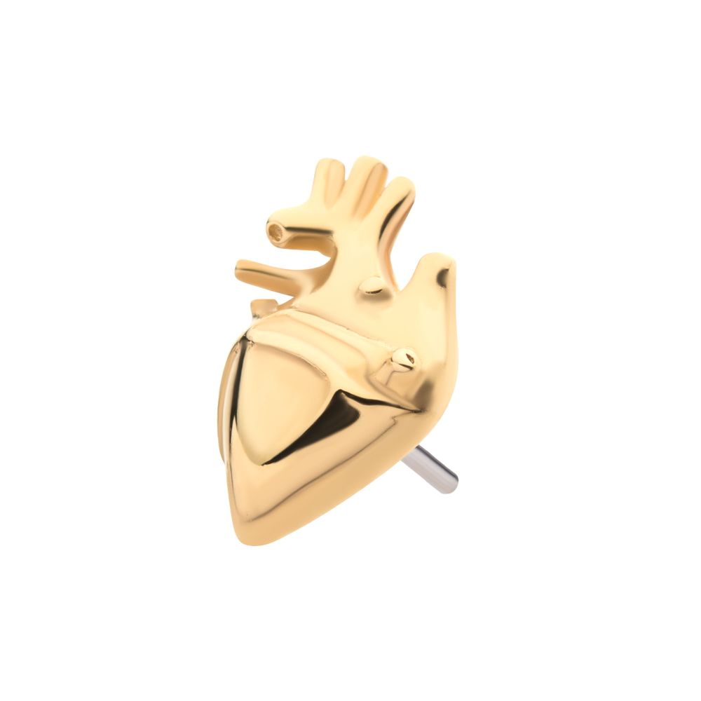 14Kt Yellow Gold Threadless with Human Heart Top