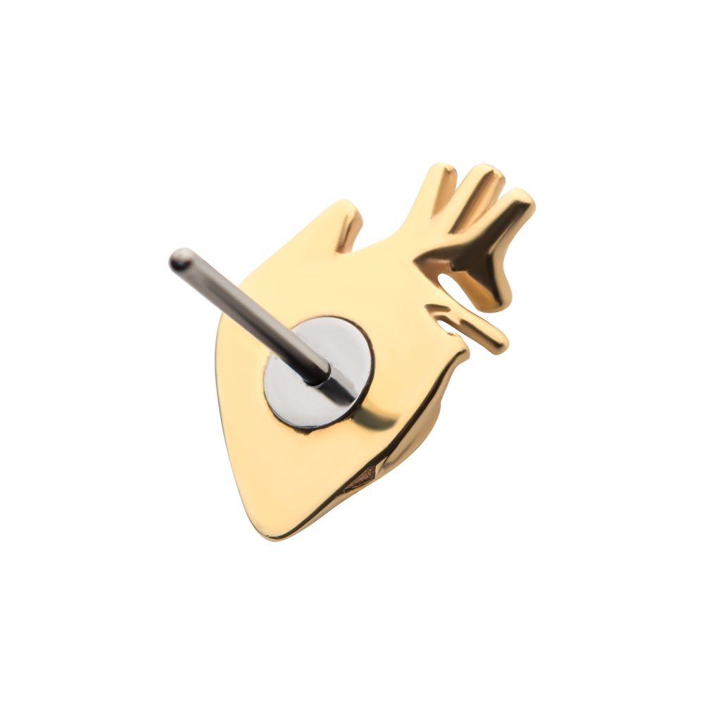 14Kt Yellow Gold Threadless with Human Heart Top