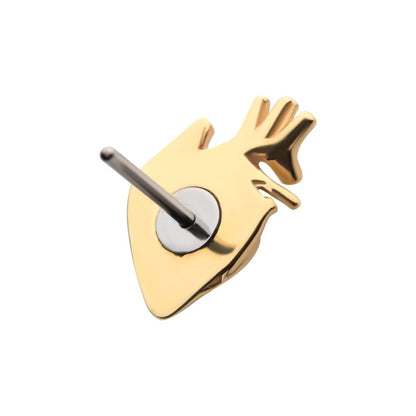 14Kt Yellow Gold Threadless with Human Heart Top