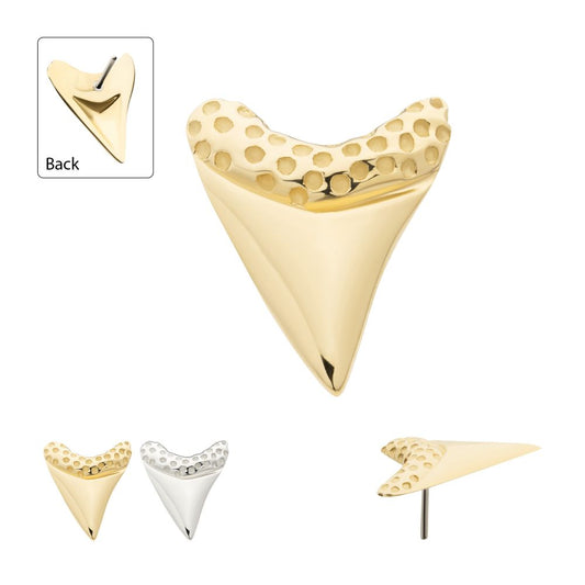 14Kt Gold Threadless Megalodon Shark Tooth Top