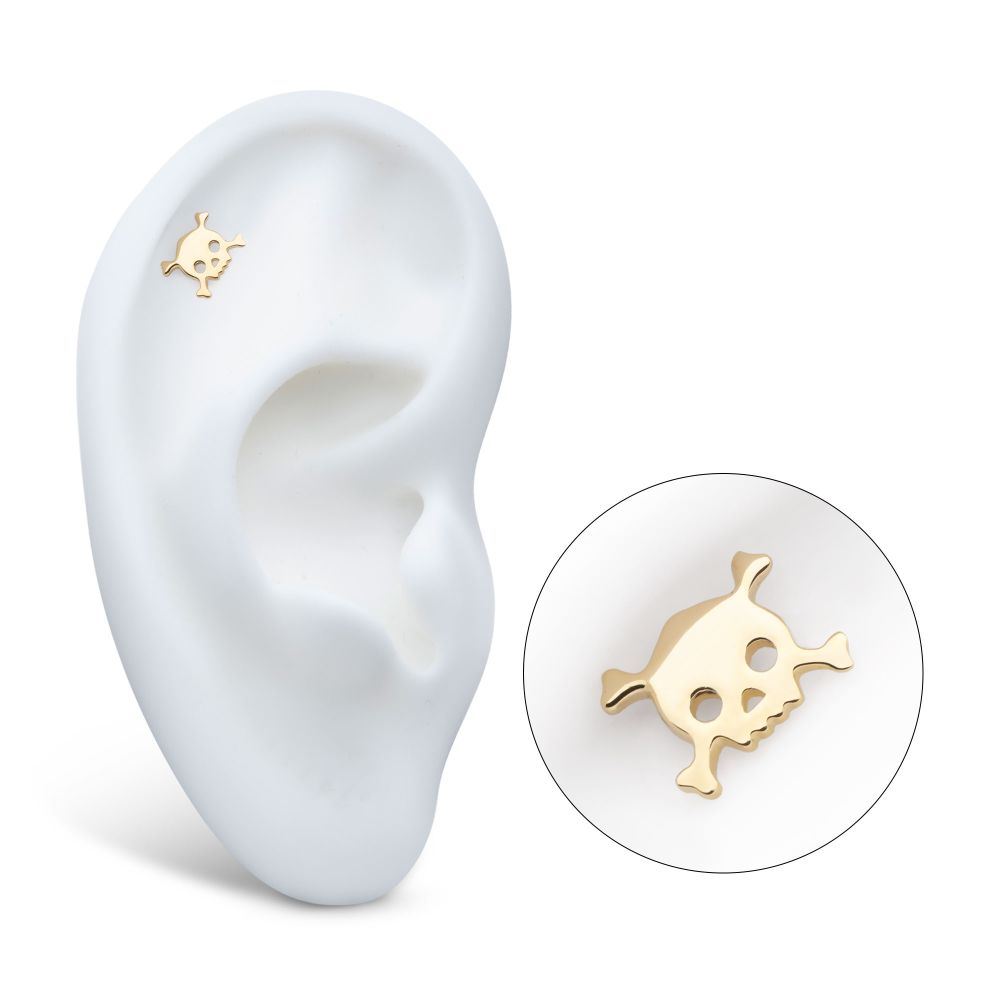 14Kt Yellow Gold Threadless Polished Finish Skulls and Crossbones Top
