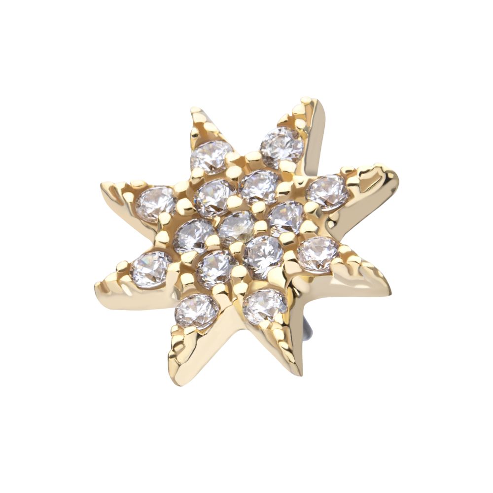 14Kt Yellow Gold Threadless Pave Set Gem Octagram Star Top