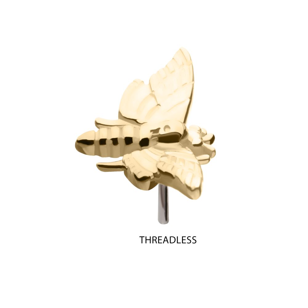 14Kt Gold Threadless Moth Top