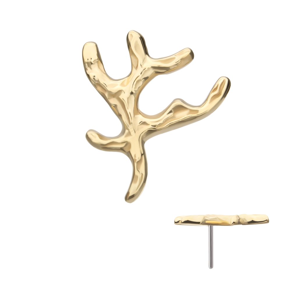 14Kt Yellow Gold Threadless Coral Branch Top