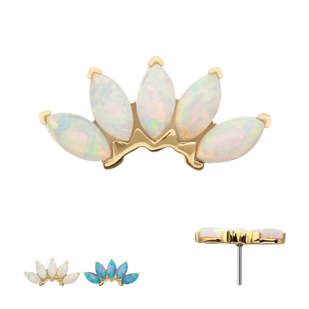 14Kt Gold Threadless Fan Shape Top with 5-Cluster Marquise Prong Opal 
