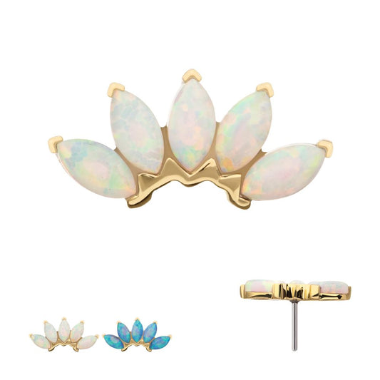 14Kt Gold Threadless Fan Shape Top with 5-Cluster Marquise Prong Opal 