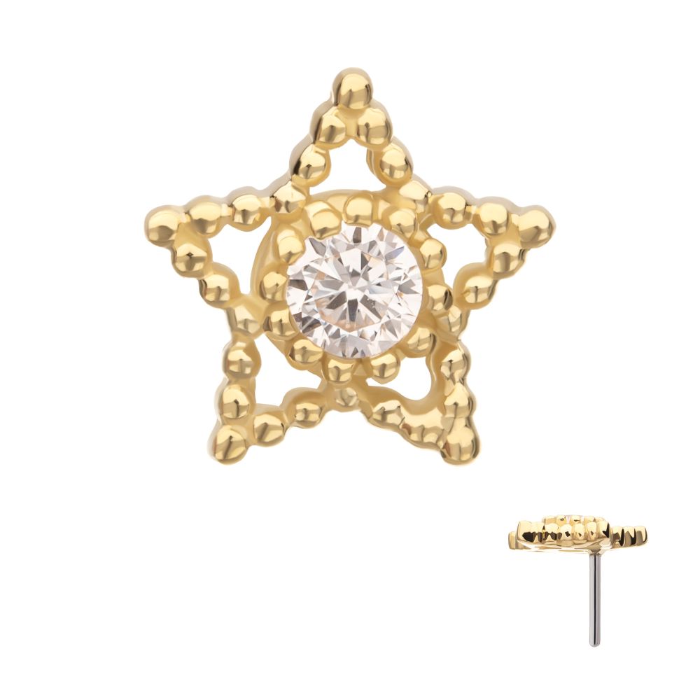 14Kt Yellow Gold Threadless Cut Out Beaded Edge Star Top with Gem