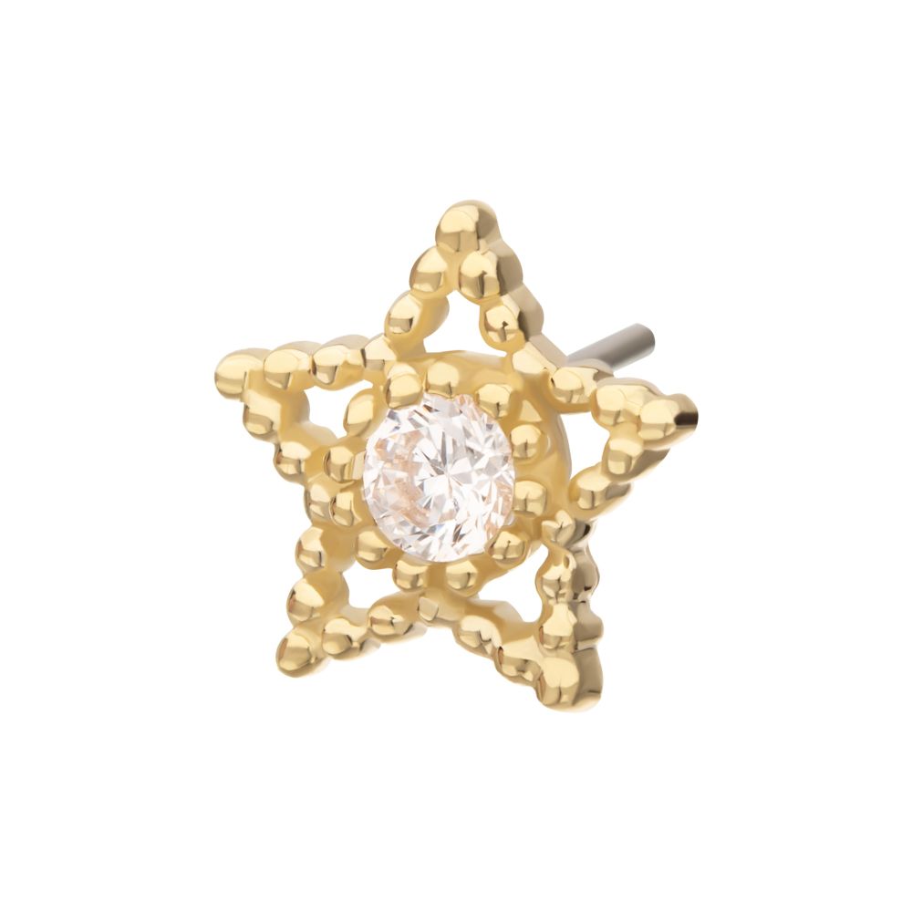 14Kt Yellow Gold Threadless Cut Out Beaded Edge Star Top with Gem