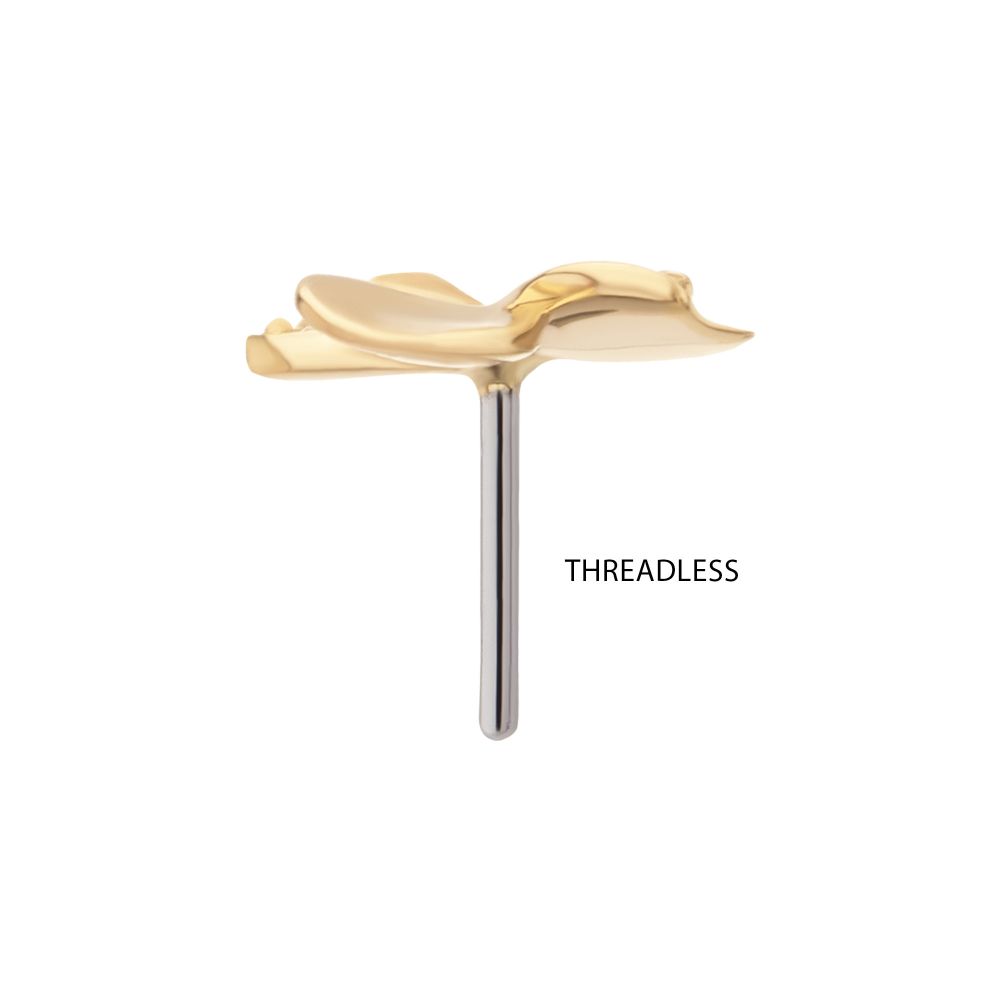 14Kt Yellow Gold Threadless 3D Clover Top with Triple CZ Gem