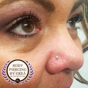 Portfolio Image Michael Crea