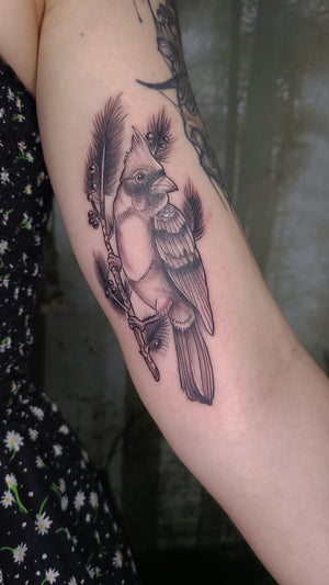 Portfolio Image Dennis